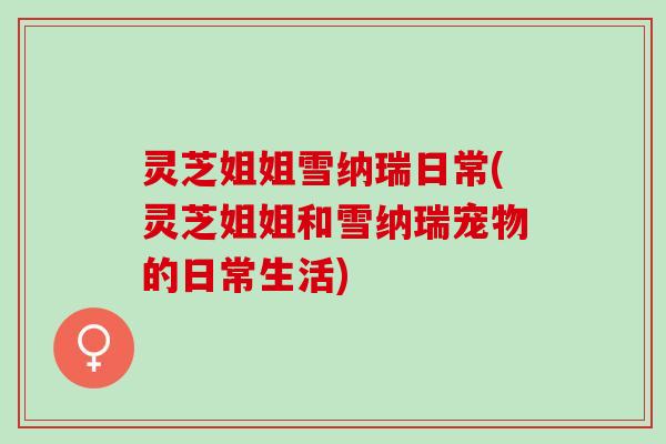 灵芝姐姐雪纳瑞日常(灵芝姐姐和雪纳瑞宠物的日常生活)