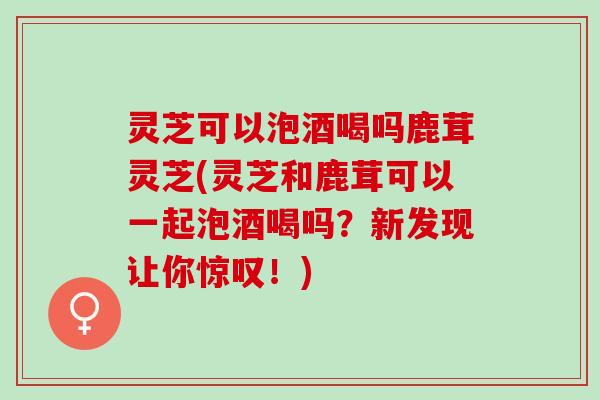 灵芝可以泡酒喝吗鹿茸灵芝(灵芝和鹿茸可以一起泡酒喝吗？新发现让你惊叹！)