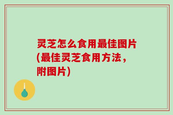灵芝怎么食用最佳图片(最佳灵芝食用方法，附图片)