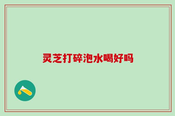 灵芝打碎泡水喝好吗