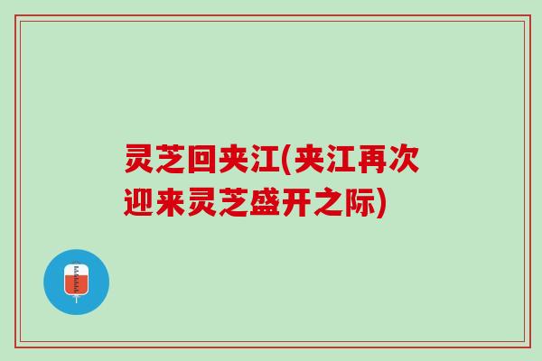 灵芝回夹江(夹江再次迎来灵芝盛开之际) 灵芝回夹江(夹江再次迎来灵芝盛开之际)