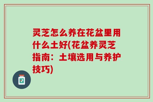 灵芝怎么养在花盆里用什么土好(花盆养灵芝指南:土壤选用与养护技巧) 灵芝怎么养在花盆里用什么土好(花盆养灵芝指南:土壤选用与养护技巧)