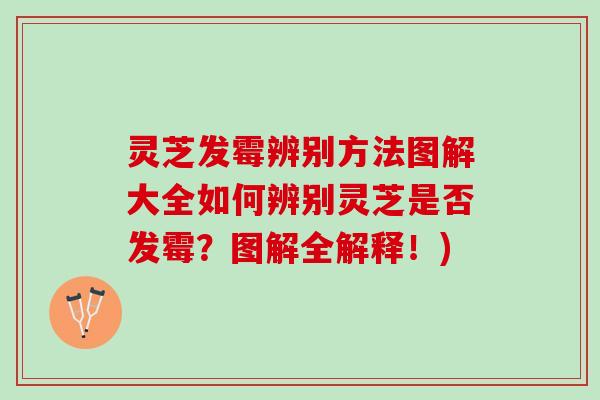 灵芝发霉辨别方法图解大全如何辨别灵芝是否发霉？图解全解释！)