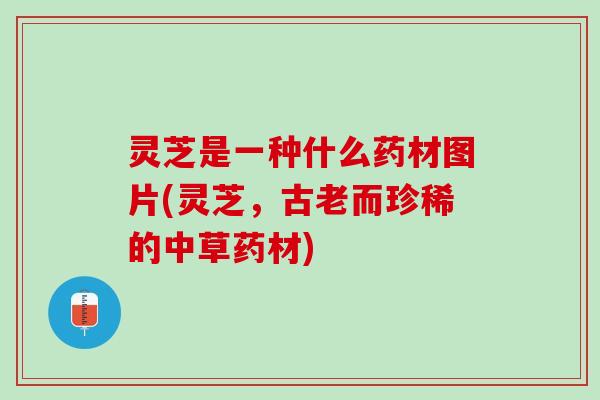 灵芝是一种什么药材图片(灵芝，古老而珍稀的中草药材)