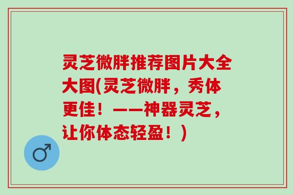 灵芝微胖推荐图片大全大图(灵芝微胖，秀体更佳！——神器灵芝，让你体态轻盈！)