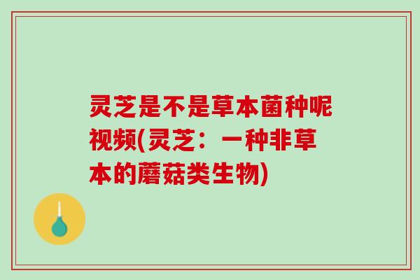 灵芝是不是草本菌种呢视频(灵芝：一种非草本的蘑菇类生物)