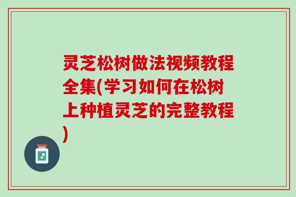 灵芝松树做法视频教程全集(学习如何在松树上种植灵芝的完整教程)