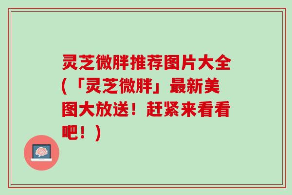 灵芝微胖推荐图片大全(「灵芝微胖」最新美图大放送！赶紧来看看吧！)