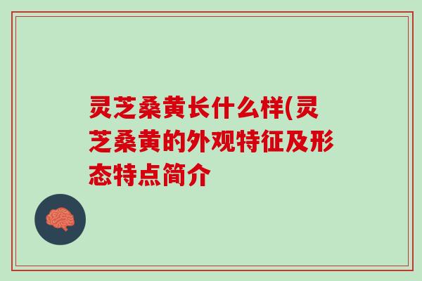 灵芝桑黄长什么样(灵芝桑黄的外观特征及形态特点简介