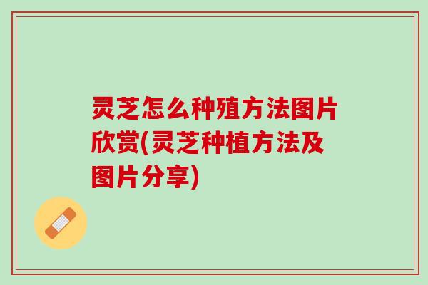 灵芝怎么种殖方法图片欣赏(灵芝种植方法及图片分享)