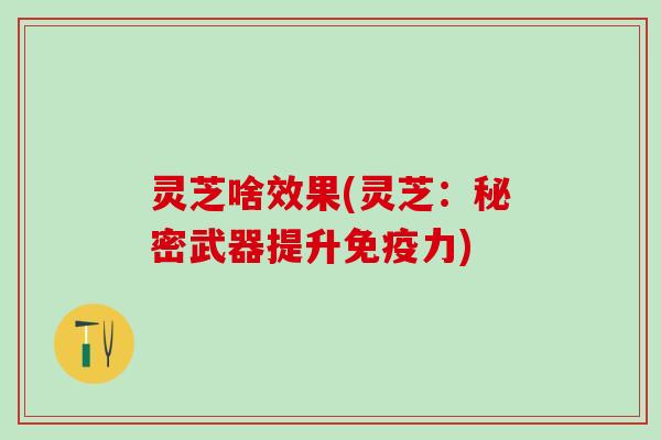 灵芝啥效果(灵芝：秘密武器提升免疫力)