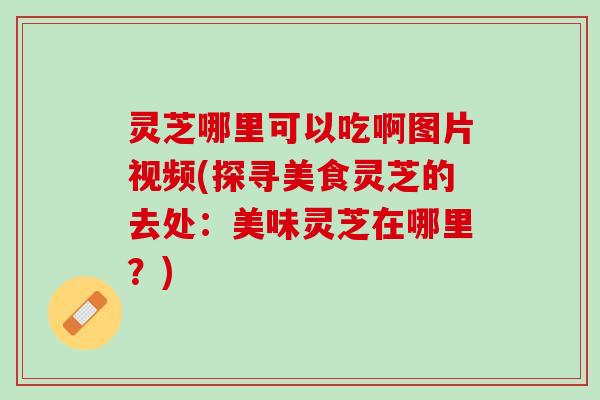 灵芝哪里可以吃啊图片视频(探寻美食灵芝的去处：美味灵芝在哪里？)