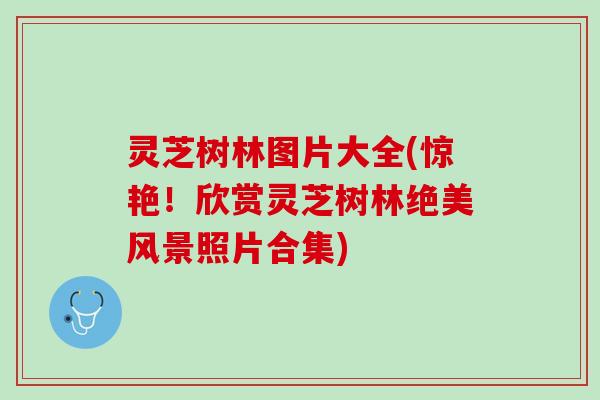 灵芝树林图片大全(惊艳!欣赏灵芝树林绝美风景照片合集) 灵芝树林图片大全(惊艳!欣赏灵芝树林绝美风景照片合集)