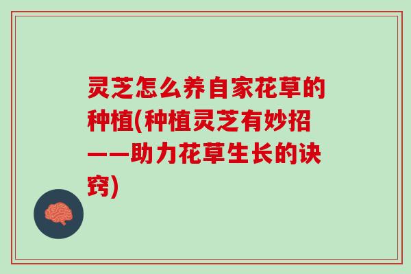 灵芝怎么养自家花草的种植(种植灵芝有妙招——助力花草生长的诀窍)