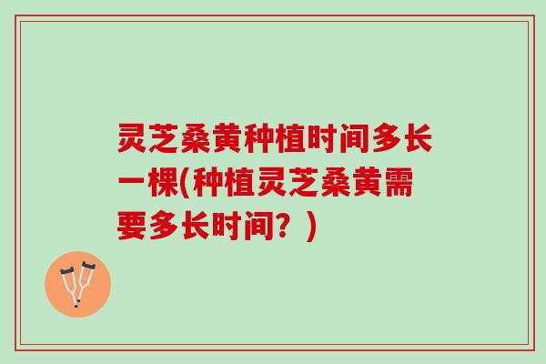 灵芝桑黄种植时间多长一棵(种植灵芝桑黄需要多长时间？)