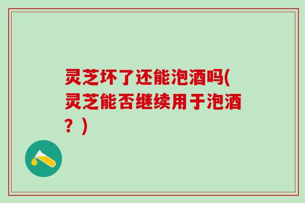 灵芝坏了还能泡酒吗(灵芝能否继续用于泡酒？)