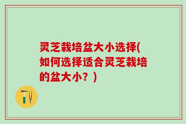灵芝栽培盆大小选择(如何选择适合灵芝栽培的盆大小？)
