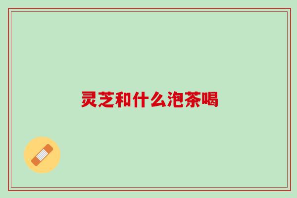 灵芝和什么泡茶喝