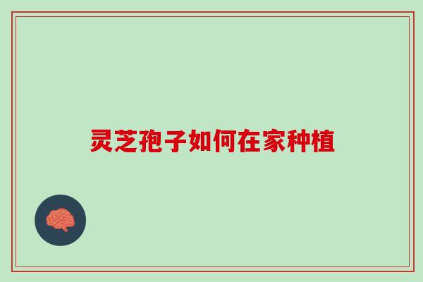 灵芝孢子如何在家种植