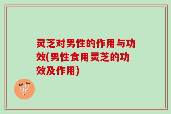 灵芝对男性的作用与功效(男性食用灵芝的功效及作用)