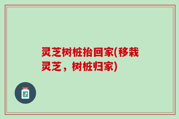 灵芝树桩抬回家(移栽灵芝，树桩归家)