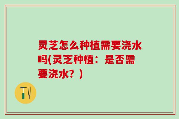 灵芝怎么种植需要浇水吗(灵芝种植：是否需要浇水？)