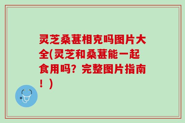 灵芝桑葚相克吗图片大全(灵芝和桑葚能一起食用吗？完整图片指南！)