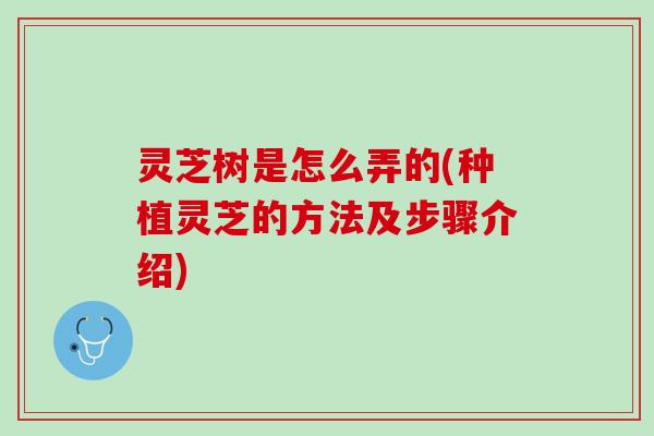 灵芝树是怎么弄的(种植灵芝的方法及步骤介绍)