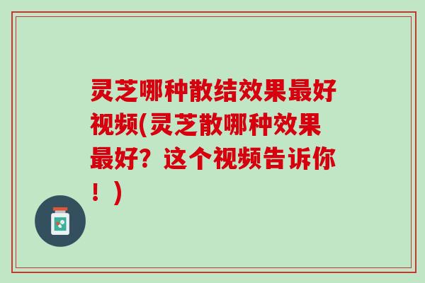 灵芝哪种散结效果最好视频(灵芝散哪种效果最好？这个视频告诉你！)