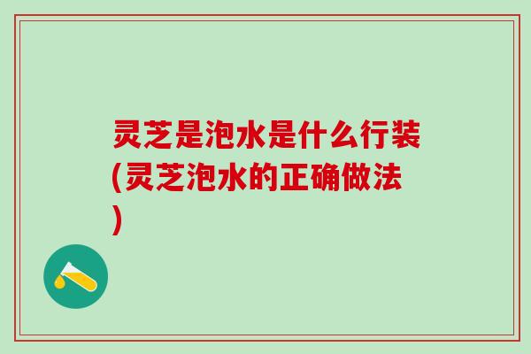 灵芝是泡水是什么行装(灵芝泡水的正确做法)