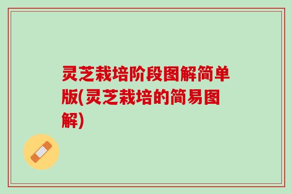 灵芝栽培阶段图解简单版(灵芝栽培的简易图解)