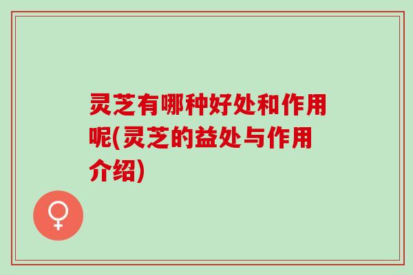 灵芝有哪种好处和作用呢(灵芝的益处与作用介绍)