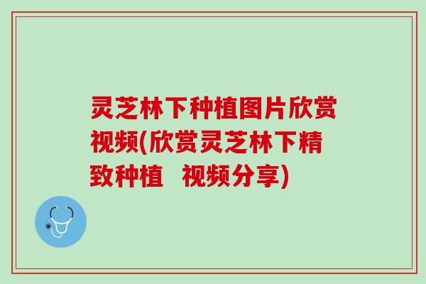 灵芝林下种植图片欣赏视频(欣赏灵芝林下精致种植  视频分享)