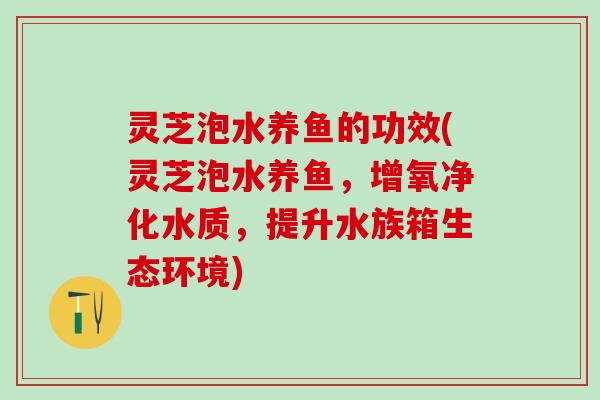 灵芝泡水养鱼的功效(灵芝泡水养鱼，增氧净化水质，提升水族箱生态环境)