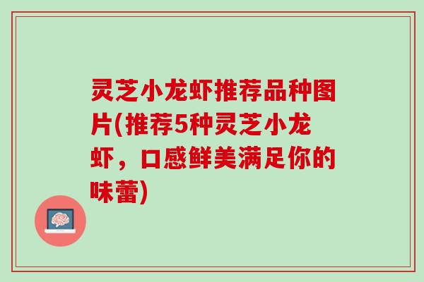 灵芝小龙虾推荐品种图片(推荐5种灵芝小龙虾，口感鲜美满足你的味蕾)