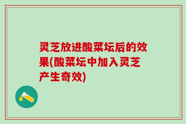 灵芝放进酸菜坛后的效果(酸菜坛中加入灵芝产生奇效)