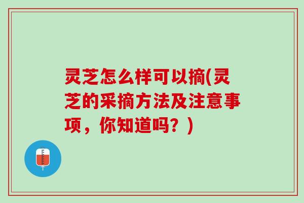 灵芝怎么样可以摘(灵芝的采摘方法及注意事项，你知道吗？)