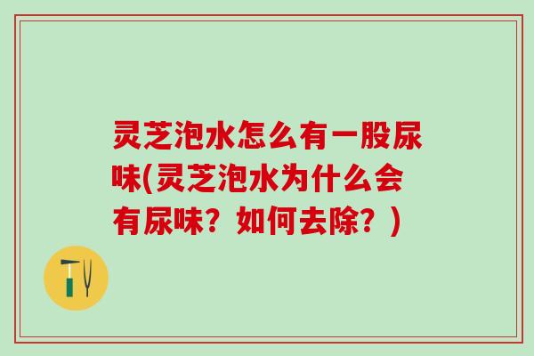 灵芝泡水怎么有一股尿味(灵芝泡水为什么会有尿味？如何去除？)
