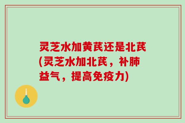 灵芝水加黄芪还是北芪(灵芝水加北芪，补肺益气，提高免疫力)