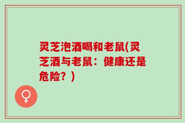 灵芝泡酒喝和老鼠(灵芝酒与老鼠：健康还是危险？)