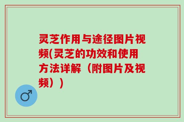 灵芝作用与途径图片视频(灵芝的功效和使用方法详解（附图片及视频）)