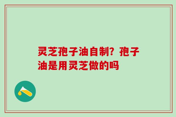 灵芝孢子油自制？孢子油是用灵芝做的吗