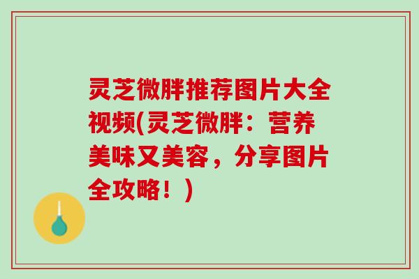 灵芝微胖推荐图片大全视频(灵芝微胖：营养美味又美容，分享图片全攻略！)