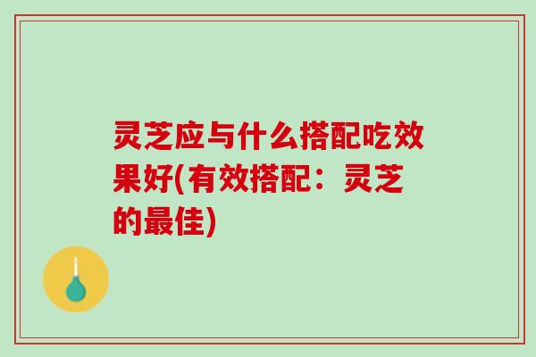灵芝应与什么搭配吃效果好(有效搭配:灵芝的佳) 灵芝应与什么搭配吃效果好(有效搭配:灵芝的佳)