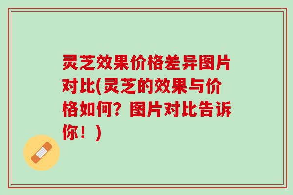 灵芝效果价格差异图片对比(灵芝的效果与价格如何?图片对比告诉你!) 灵芝效果价格差异图片对比(灵芝的效果与价格如何?图片对比告诉你!)