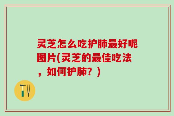 灵芝怎么吃护肺最好呢图片(灵芝的最佳吃法，如何护肺？)