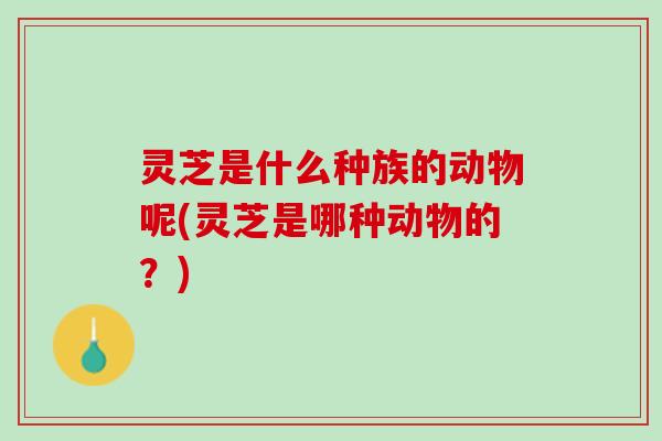 灵芝是什么种族的动物呢(灵芝是哪种动物的？)