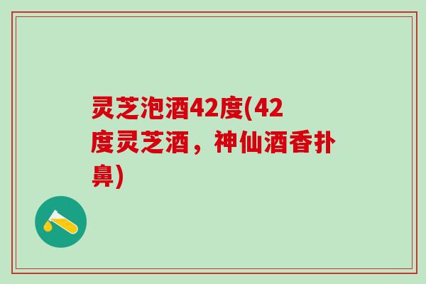 灵芝泡酒42度(42度灵芝酒，神仙酒香扑鼻)