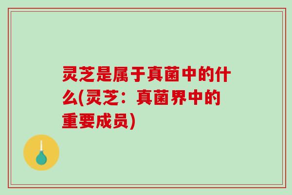 灵芝是属于真菌中的什么(灵芝：真菌界中的重要成员)
