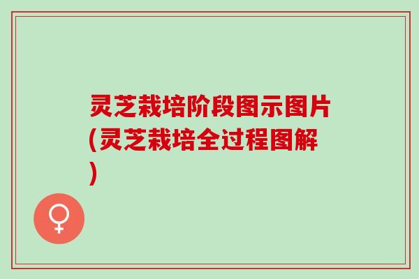 灵芝栽培阶段图示图片(灵芝栽培全过程图解)